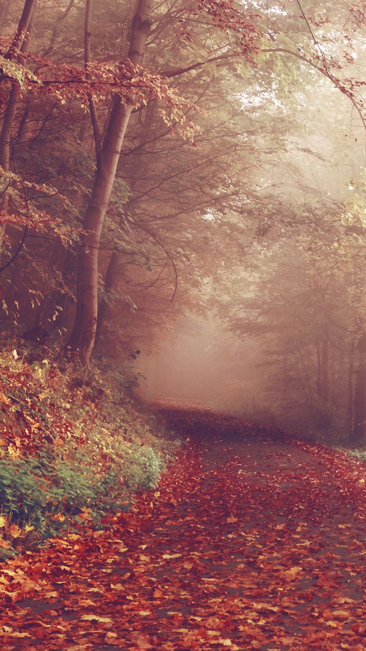 Free Autumn iPhone Wallpaper Collection ★ Download it at…