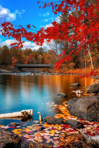 Lake View - Nikki Gold Photo Galleries - Mermaid-rebellion...