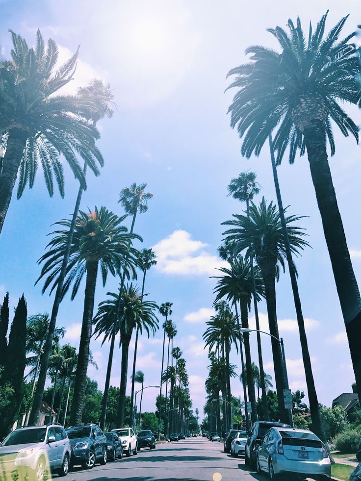 ♕pinterest/amymckeown5