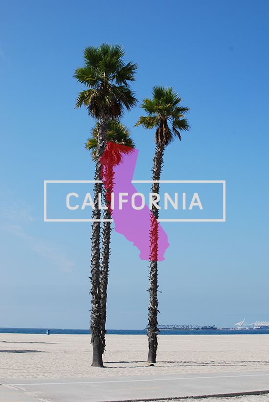 AE: If you could surf anywhere in the world where would you go? Z: Definitely California, I don't know where exactly but around LA.