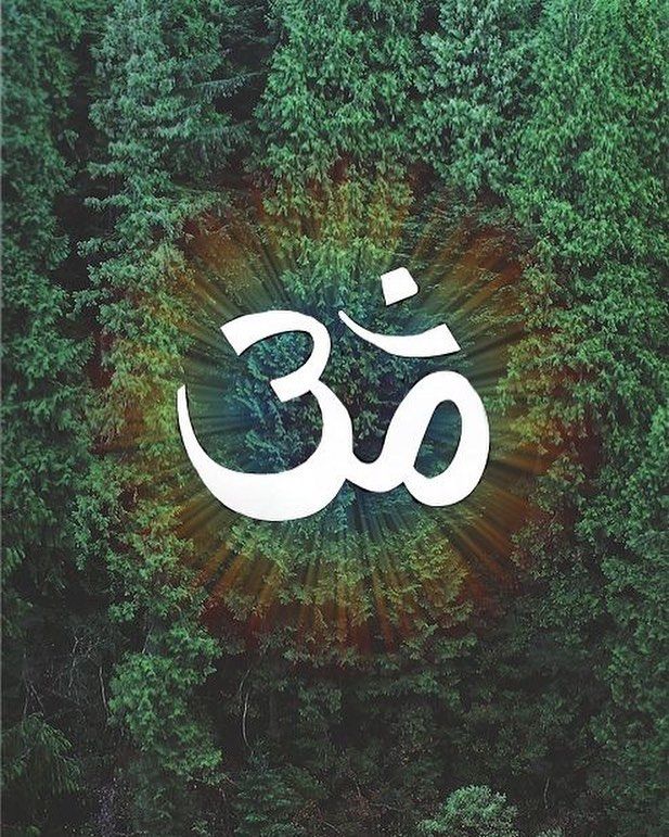 Algún día habrá tantas personas con los ojos abiertos que no permitirán ser dirigidos por personas con el corazón cerrado << buenas noches a todos los veo mañana a las 8am para practicar >> #ashtangayoga #yogalife #yogaeveryday” width=”617″ height=”771″ /></a></p>
<p>Algún día habrá tantas personas con los ojos abiertos que no permitirán ser dirigidos por personas con el corazón cerrado << buenas noches a todos los veo mañana a las 8am para practicar >> #ashtangayoga #yogalife #yogaeveryday</p>
<p>[ad_2]<br /></p>

				</div>

					<div class=