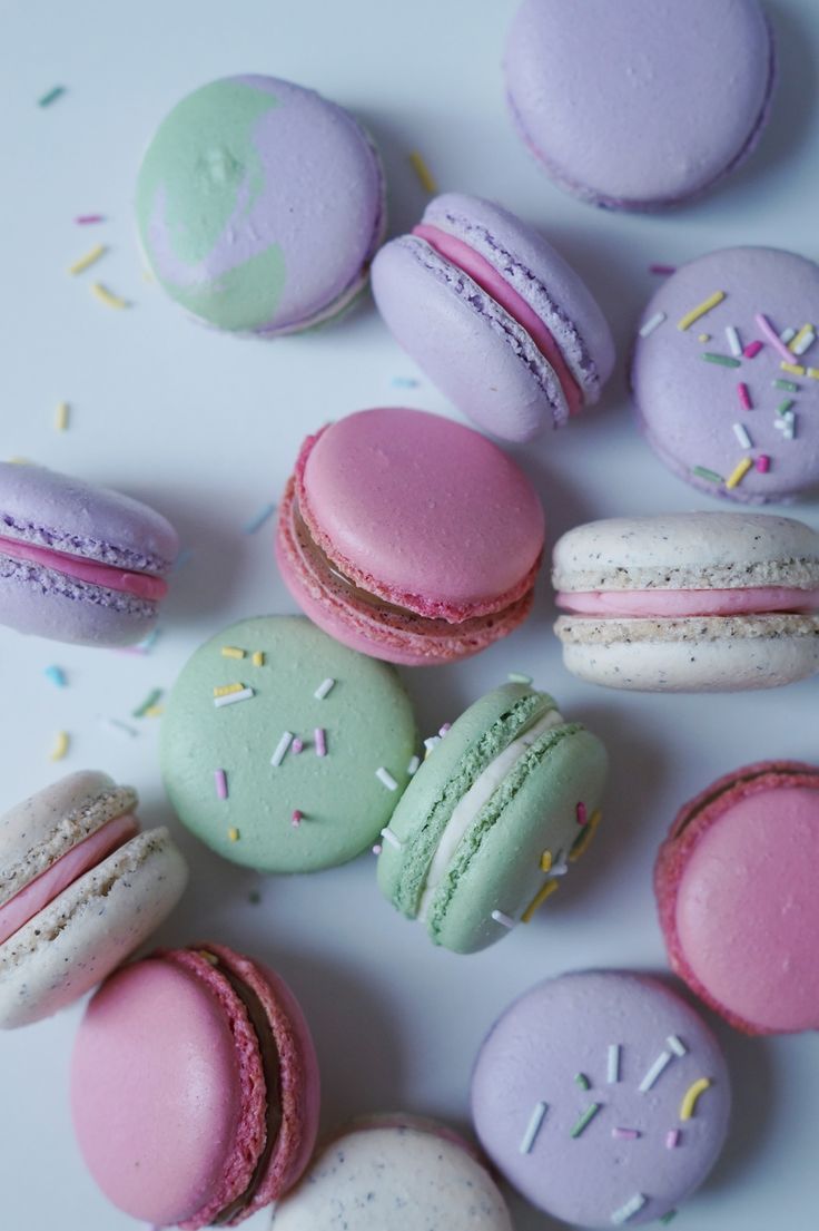 Macarons — Elle Jane