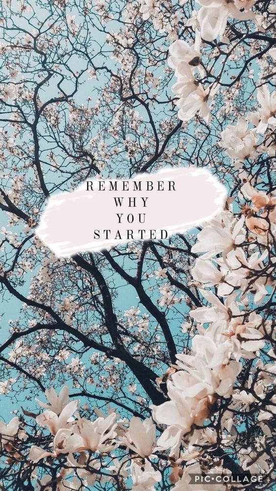 15 Coloridos fondos de pantalla con la belleza de las flores | recreoviral