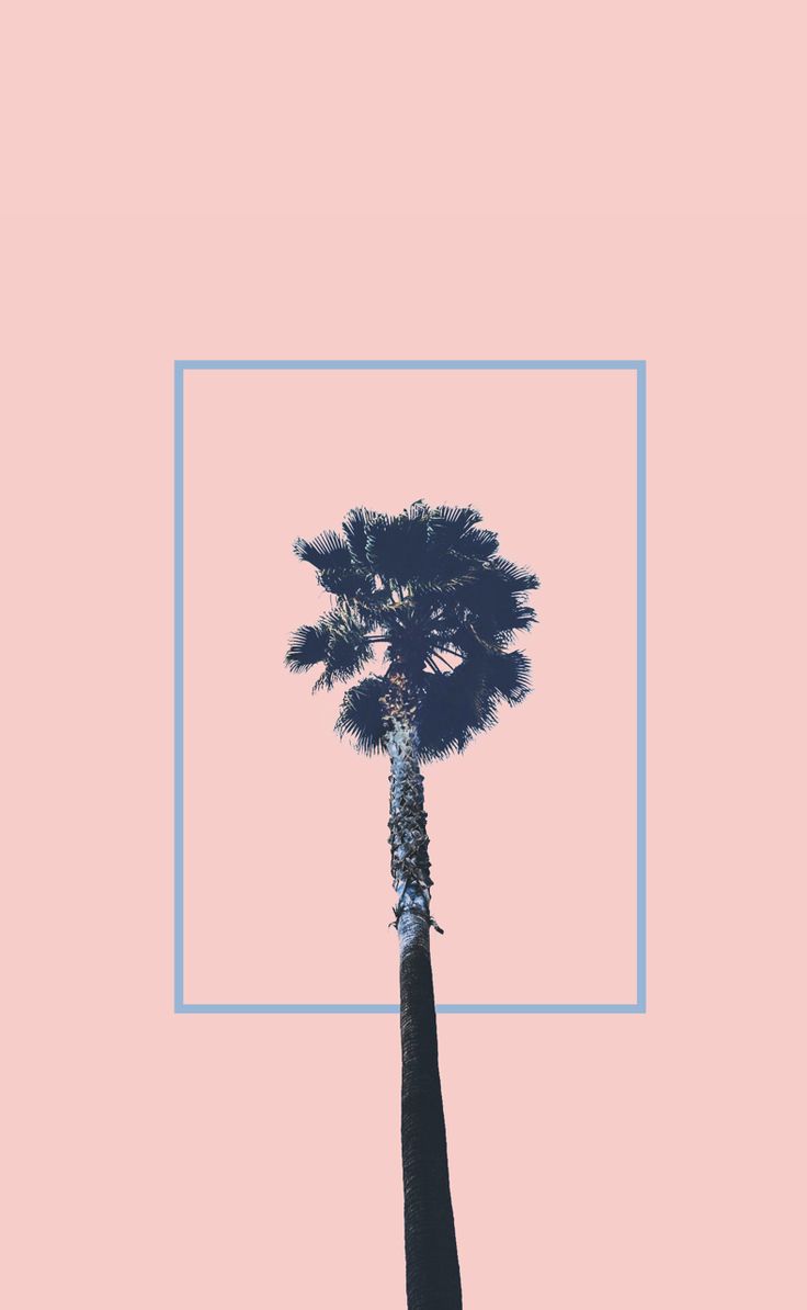 Lockscreens And Wallpapers