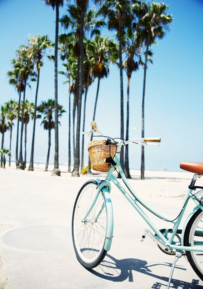 Venice Beach Diary