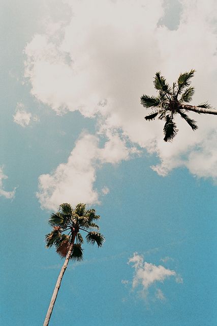 Artistic direction. Destination. Happy. Colors. This can be one of the search by mood pages. With a quirky title. 