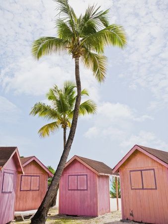 Pink tropical bungalows by Alfred Saerchinger