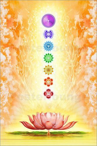 Dirk Czarnota - Sacred Lotus #ChakraMantrasAndMeditation