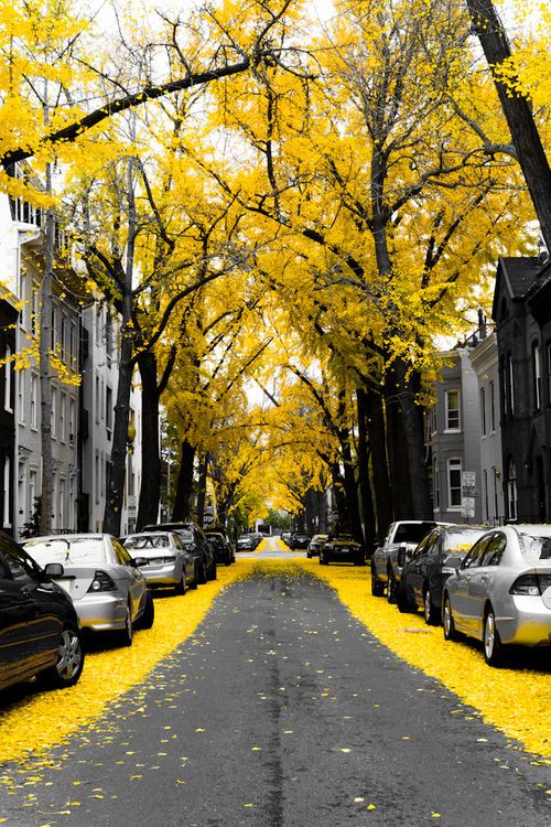30 Best City Pictures of the Week – July 21th to July 28th, 2012