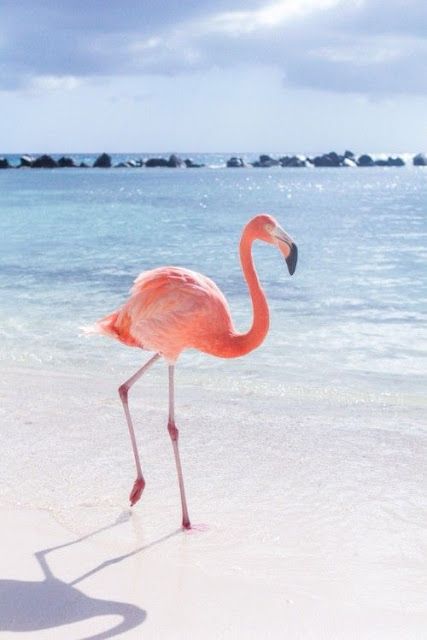 I want pretty: Lunes de cosas bonitas!