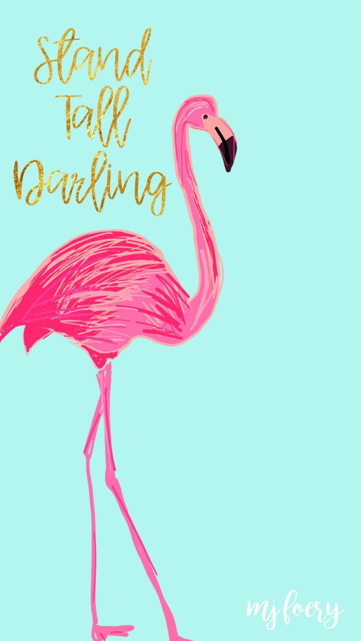 Flamingo Friday – Free Background