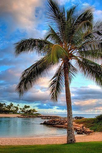 Ko Olina Lagoon, Oahu, Hawaii - Pixdaus