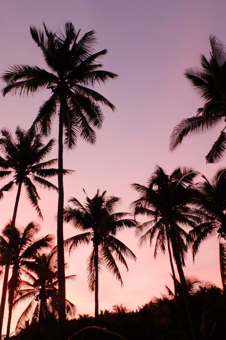 Sunset in #pink #violet #blue #coulours #pastels #pk214