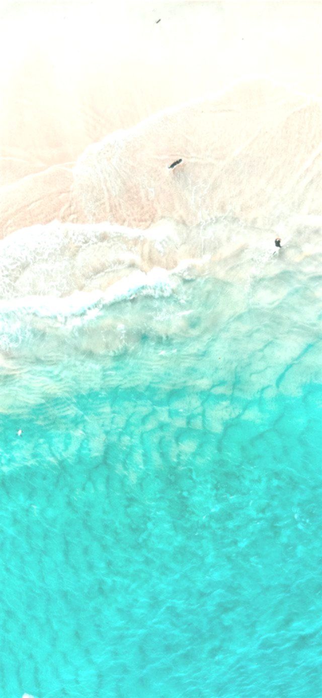 Wallpaper Backgrounds- The dog’s dream iPhone X wallpaper #nature #australia #Surf #dji #goldcoast 
