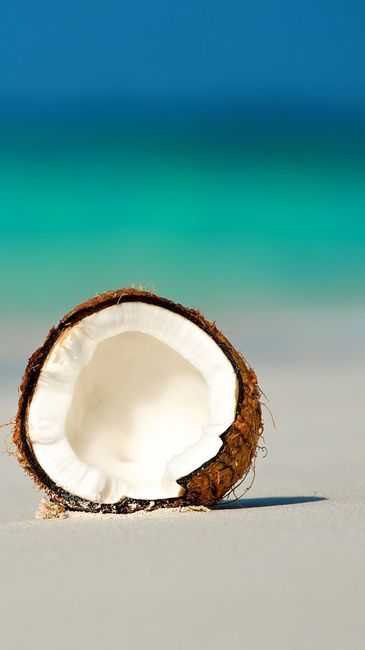 COCONUT BEACH