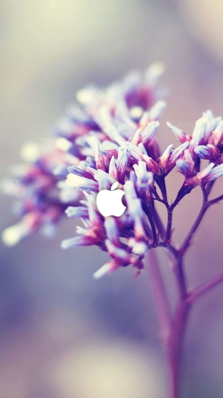 Download Just Do It Wallpaper For Iphone 6 Phone Background #just #do #it #wallpaper #for #iph