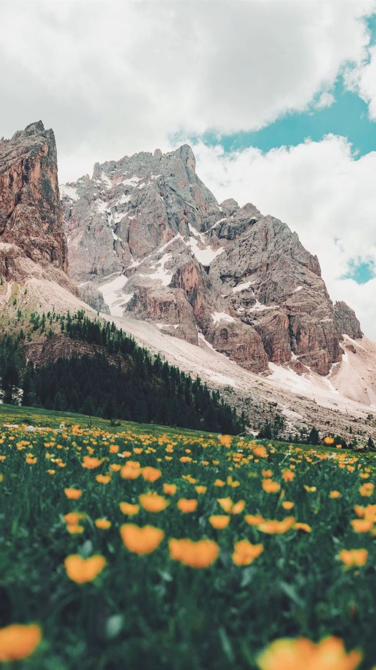 Download Wallpaper Iphone 6 Mobile9 For Your Phone & Smartphone. Get The Latest Phone Background Updates Here. #wallpaper #iphone #6 #mobile9 