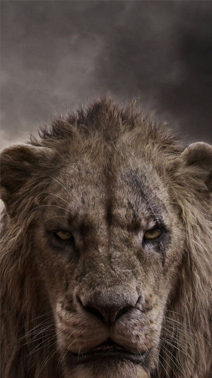 Download Car Iphone Wallpaper Photo For Your Phone & Smartphone. Get The Latest Phone Background Updates Here. #car #iphone #wallpaper #photo 