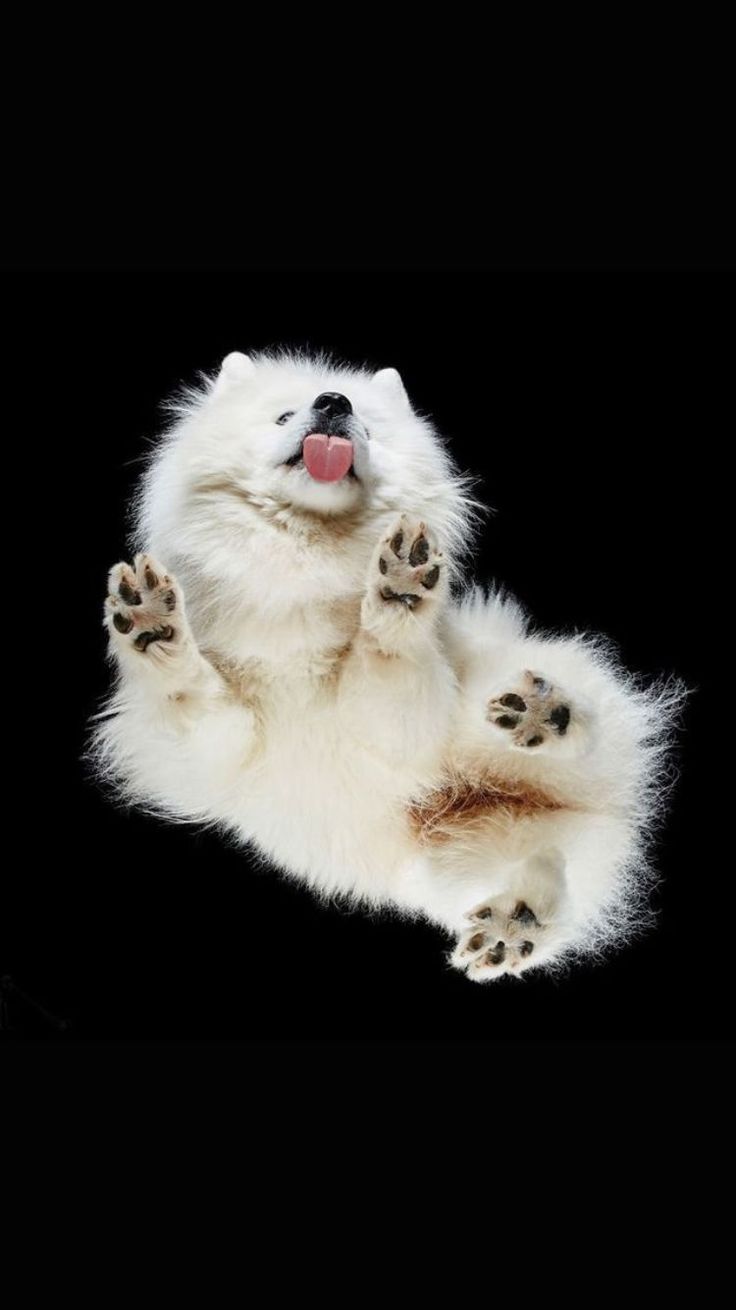 Free Bicycle Wallpapers For Android	free #bicycle #wallpapers #for #android #androidwallpapers 