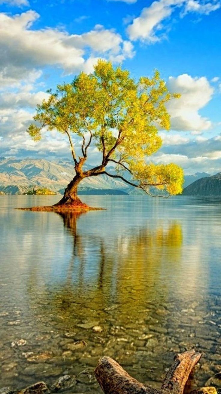 Android Wallpaper Dragon Ball	android #wallpaper #dragon #ball #androidwallpapers #phonewallpapers