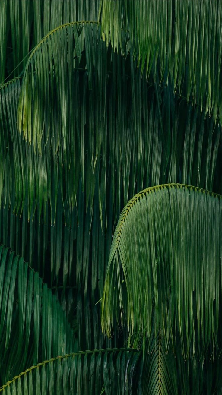 Download Free Cool Wallpapers For Iphone 5 For Your Phone & Smartphone. Get The Latest Iphone Background Updates Here. #free #cool #wallpapers #for #iphone