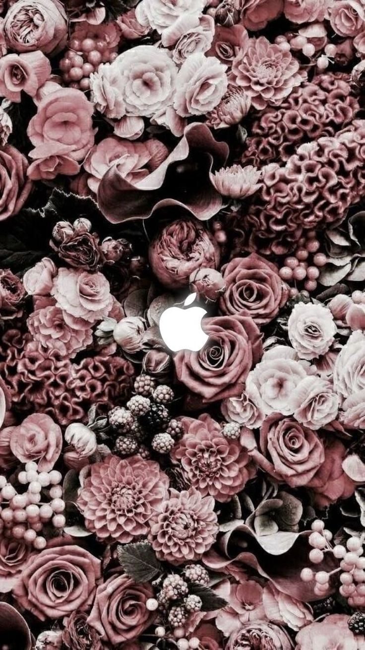 Download Best Wallpaper White Iphone Iphone Background #best #wallpaper #white #iphone #iphone 