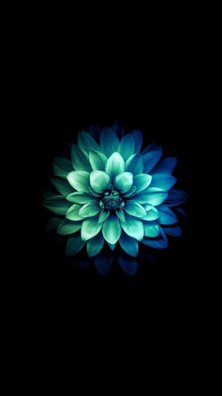Free Live Wallpapers For Android Download	free #live #wallpapers #for #android #download 