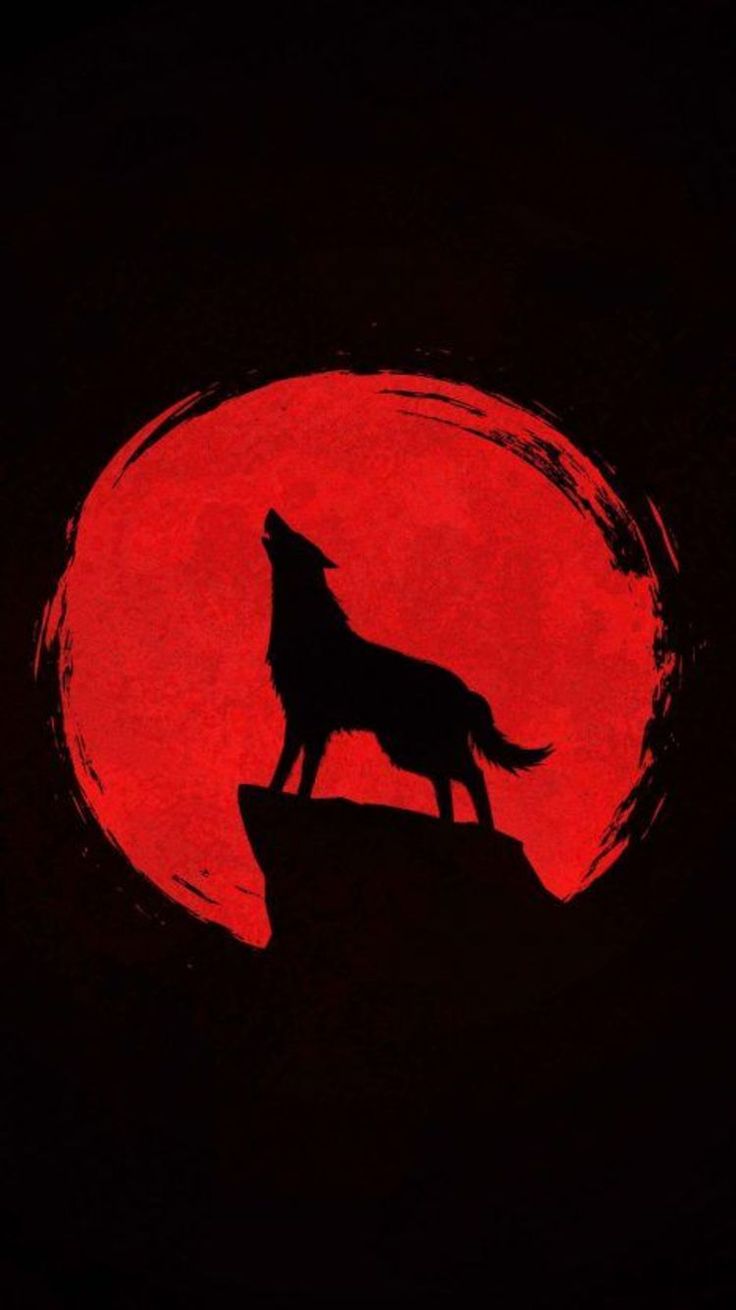 Ocean Wallpaper For Android Phones	ocean #wallpaper #for #android #phones #androidwallpapers 