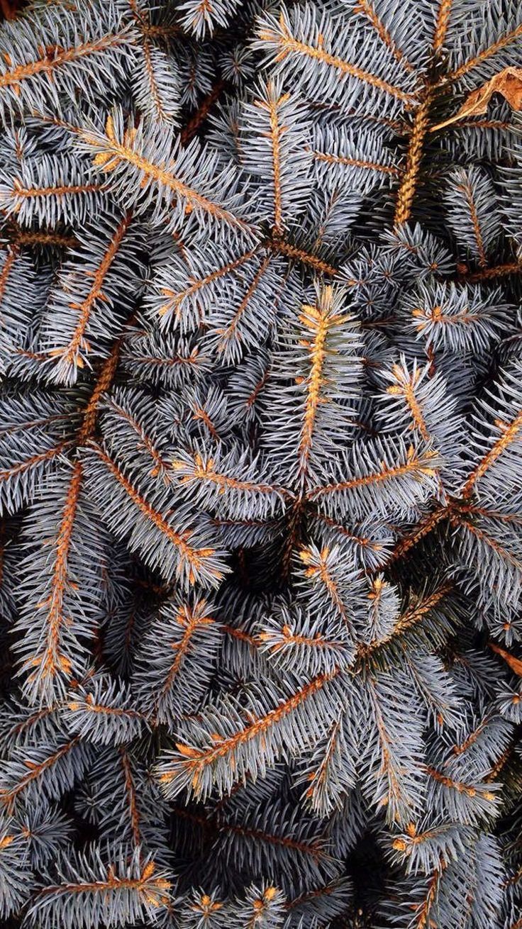 Cool Water Wallpaper For Android	cool #water #wallpaper #for #android #androidwallpapers 