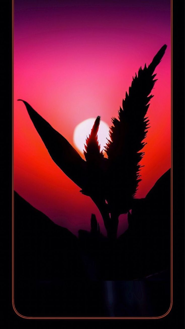 Download Cute Iphone 4s Wallpaper Tumblr Iphone Background #cute #iphone #4s #wallpaper #tumblr 