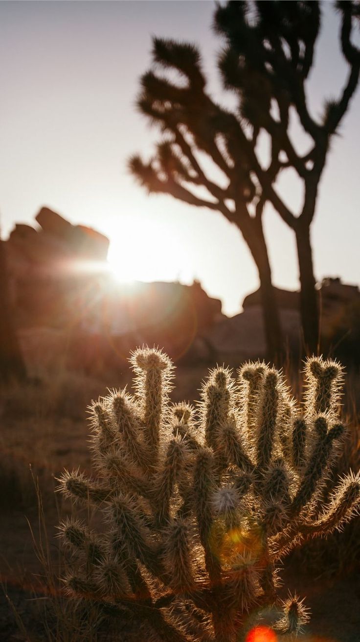 Download Iphone 6 Plus Geometric Wallpaper For Your Phone & Smartphone. Get The Latest Phone Background Updates Here. #iphone #6 #plus #geometric #wallp