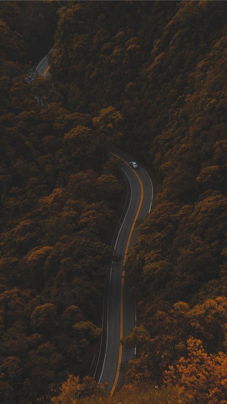 Download Wallpaper Funny For Iphone For Your Phone & Smartphone. Get The Latest Iphone Background Updates Here. #wallpaper #funny #for #iphone 