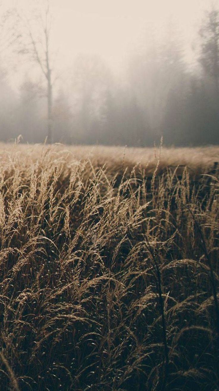 Hd Wallpapers For Android Tablet	hd #wallpapers #for #android #tablet #androidwallpapers 