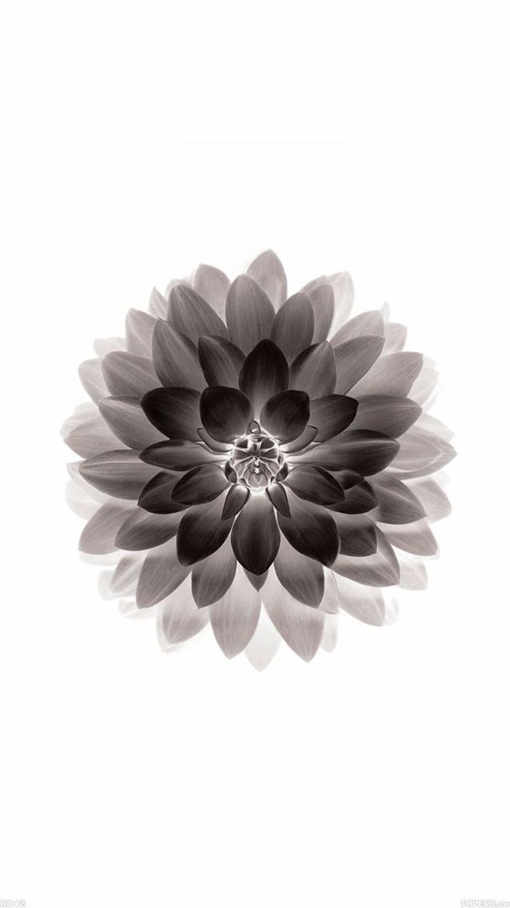 Free Wallpaper Hd Download For Android	free #wallpaper #hd #download #for #android 