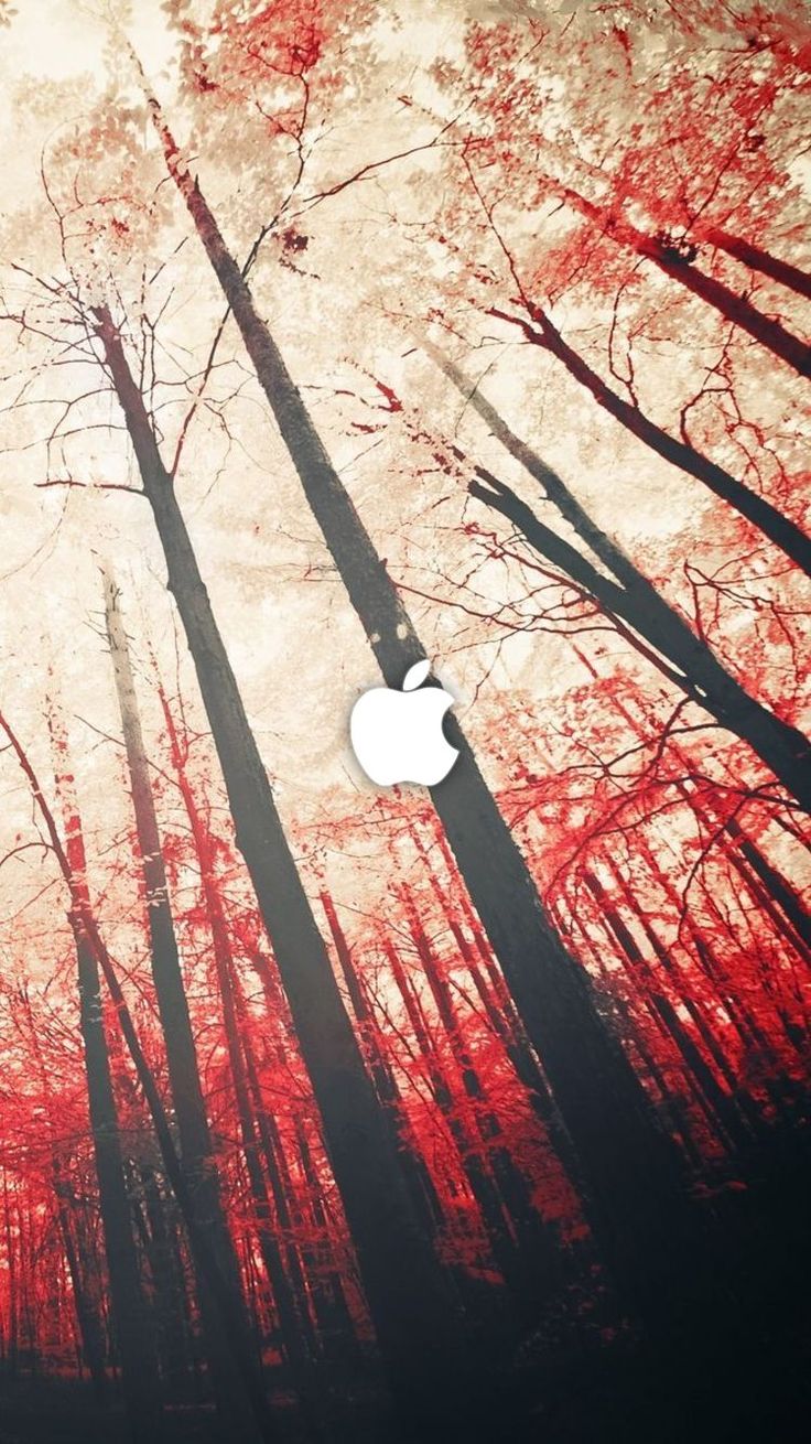 Download Apple Iphone 6 Space Wallpaper Iphone Background #apple #iphone #6 #space #wallpaper 