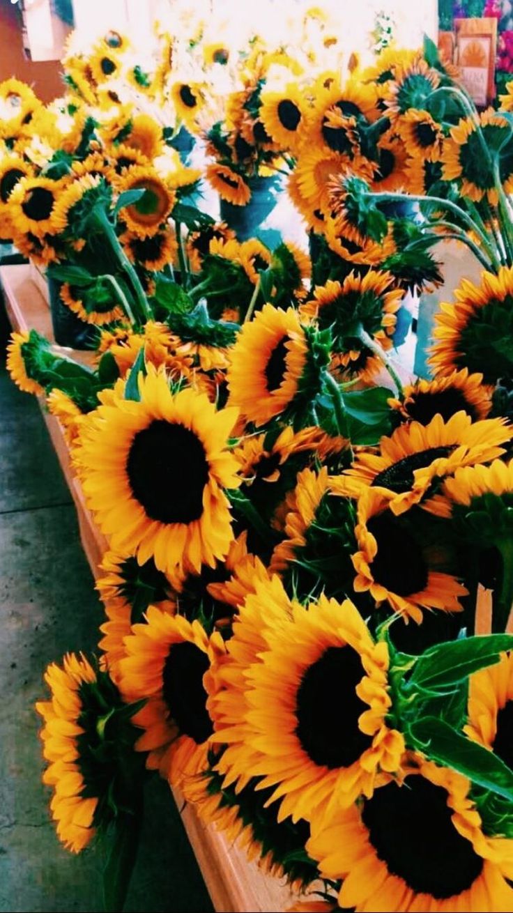 Download Iphone 5s Wallpaper Hd Vintage Phone Background #iphone #5s #wallpaper #hd #vintage 