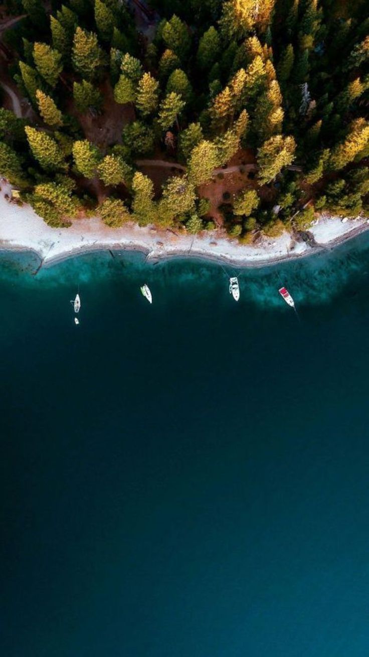 Free Download Wallpaper Hd For Android Mobile	free #download #wallpaper #hd #for #android 