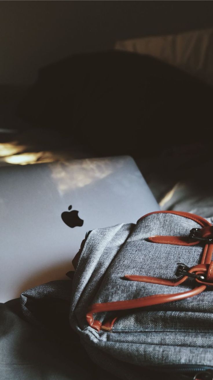 Download Yago Portal Zoo Portraits Common Raccoon Iphone 6 Plus Hd Wallpaper Phone Background #yago #portal #zoo #portraits #common 