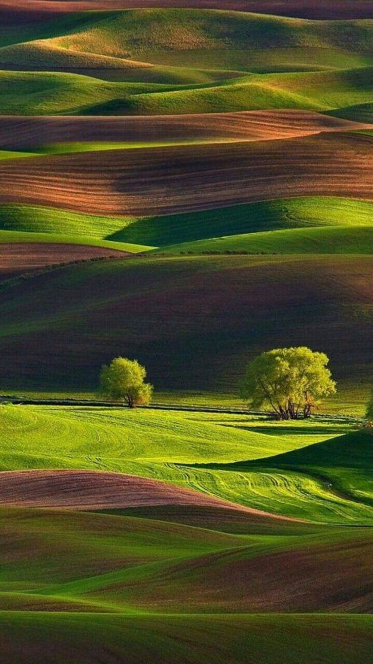 Download Car 3d Iphone Wallpapers Desktop For Your Phone & Smartphone. Get The Latest Wallpaper Phone Updates Here. #car #3d #iphone #wallpapers #desktop