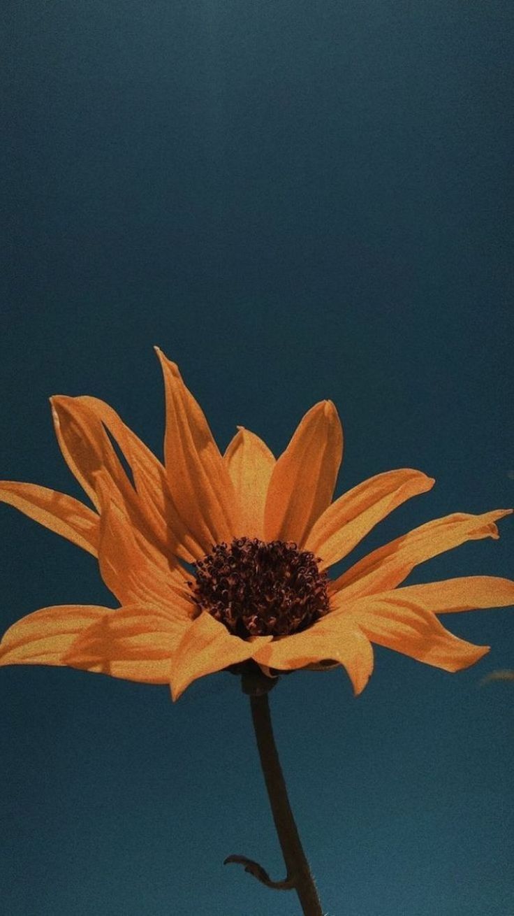 Pubg Wallpaper 4k For Android	pubg #wallpaper #4k #for #android #androidwallpapers 