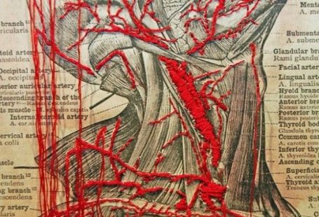 tumblr mgzpkr3pZk1qhw4wvo1 1280 540x811 10 Contemporary embroidery artists