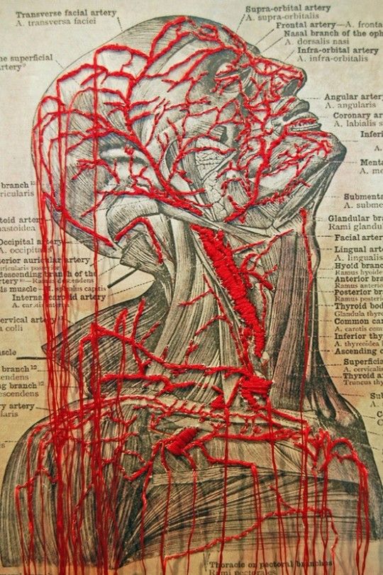 tumblr mgzpkr3pZk1qhw4wvo1 1280 540x811 10 Contemporary embroidery artists