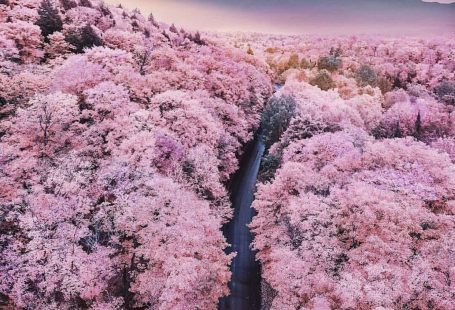 Japan is a great destination if you