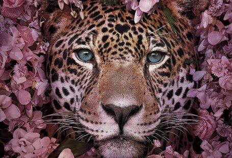 16 Stunning Animal Portraits By Andreas Häggkvist To Raise Awareness For Endangered Species