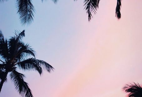 iPhone Xs Max Wallpapers by preppywallpapers.com