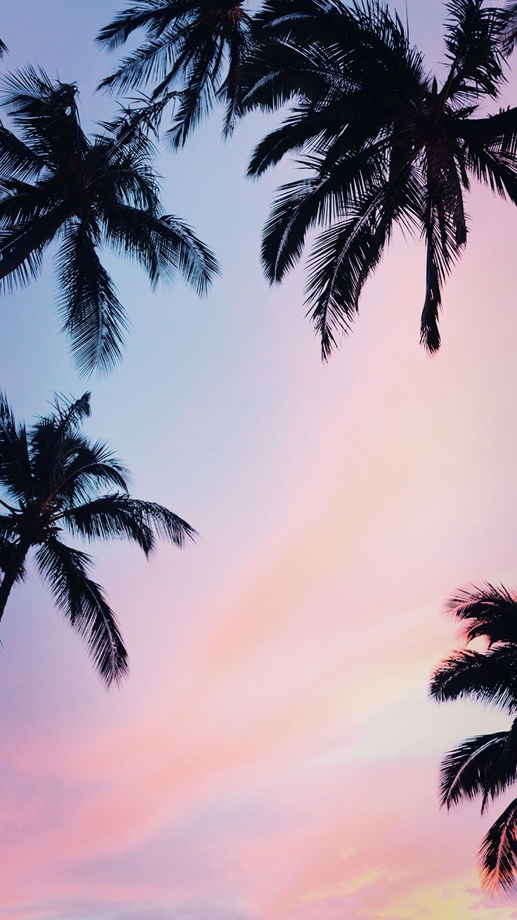 iPhone Xs Max Wallpapers by preppywallpapers.com
