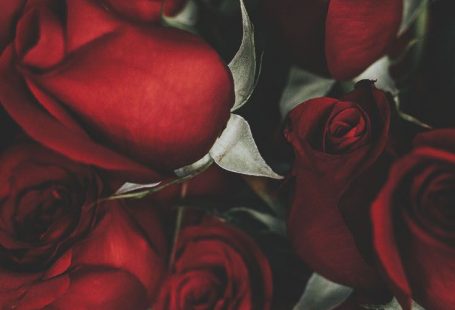 Floral Roses iPhone Wallpaper by Preppy Wallpapers