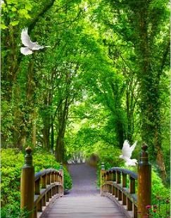 Image of 3D Forest Bridge Bird Corridor Entrance Wall Mural Decals Art Print Wallpaper 048