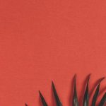 40 Super süße Blumen und Obst Wallpaper,