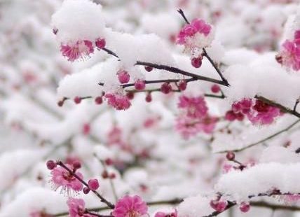 44+ Trendy Garden Wallpaper Dreams #garden